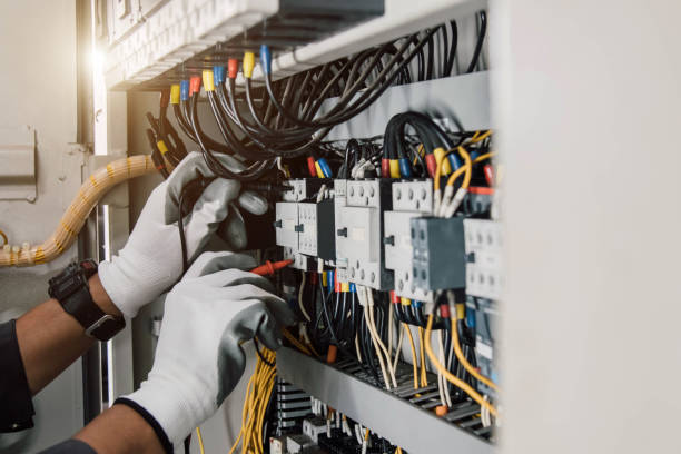 Best Electric Panel Repair  in Edinburg, VA